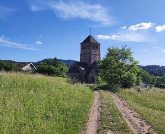 Chez Gigi Et Malou - Gite Brimbelle Champ-le-Duc Экстерьер фото